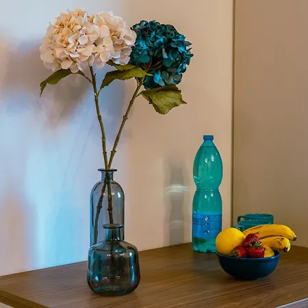 Apartment Alloggi Celly Con Aria Condizionata E Terrazzo
